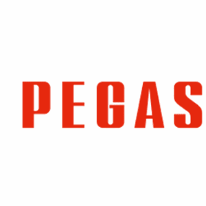 Logo de la marque PEGASUS
