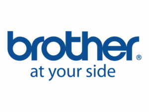 SINGLE PHASE 250W MOTOR 119719102