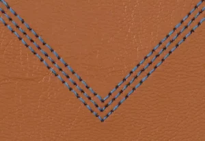 sewing program