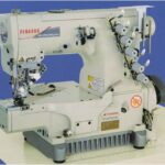 PEGASUS                                     .