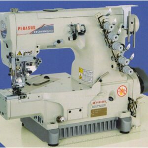 PEGASUS                                     .