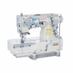 PEGASUS                                     .