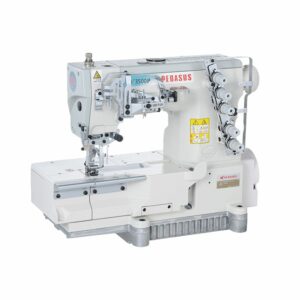 PEGASUS                                     .