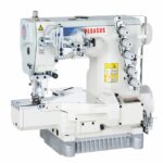 PEGASUS                                     .