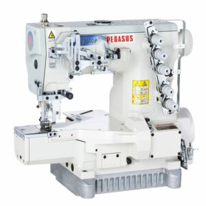 PEGASUS                                     .