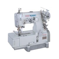 PEGASUS                                     .