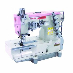 PEGASUS                                                      .