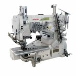 PEGASUS                                     .