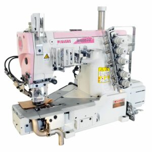 PEGASUS                                                      .