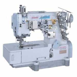 PEGASUS                                                      .