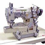 PEGASUS                                                      .